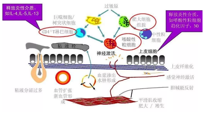 微信图片_20180719094847.png
