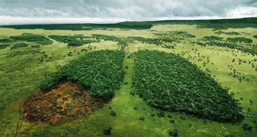 负氧离子氧疗法可有效防治慢性阻塞性肺病 负氧离子氧疗法可有效防治慢性阻塞性肺病