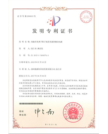 发明专利