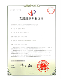实用新型专利1